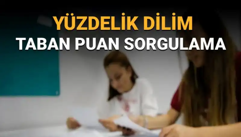 2025 LGS Taban Puanları ve Yüzdelik Dilim Sorgulama Yöntemleri