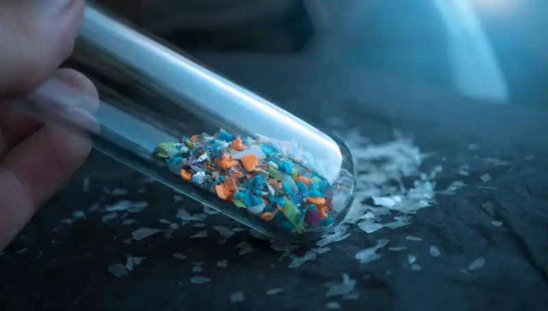 Mikroplastikler İnsan Beynine Kadar Ulaştı: Sağlık Üzerindeki Korkutucu Etkileri