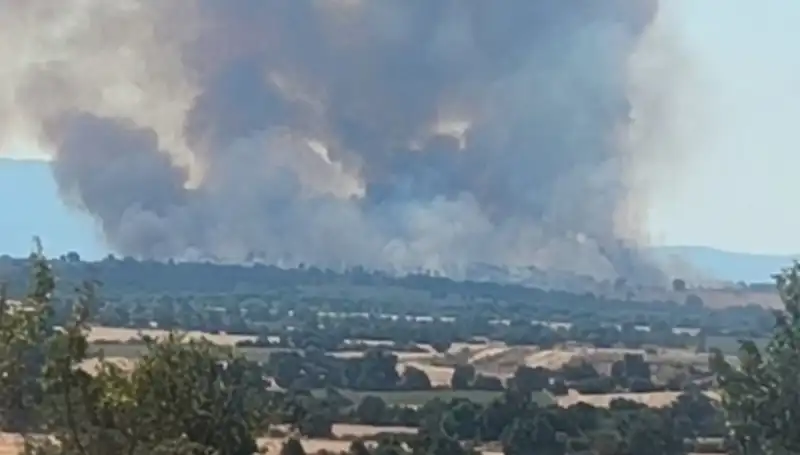 Komşudaki Orman Yangını Edirne'yi Sarmanı Korkutucu Dumana Boğdu