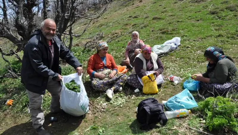 Türeyi Tüketirken: 5 Saatlik Yolculukla Gelen 250 Liralık Hazine