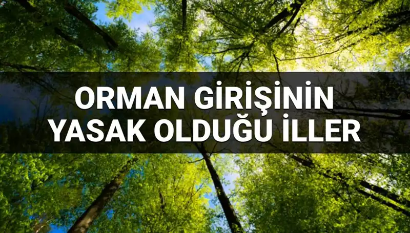 2025 Yılında Ormana Girmek Yasaklanan İller Hangileri?