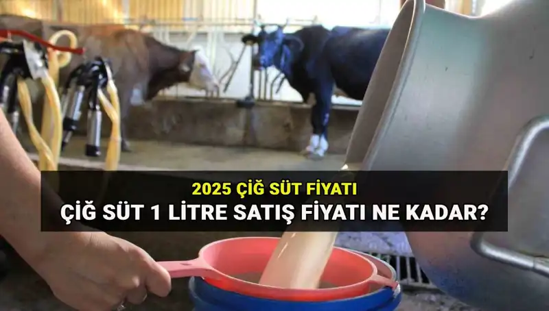 2025'te Çiğ Süt Fiyatları: Ulusal Süt Konseyi'nden Son Gelişmeler