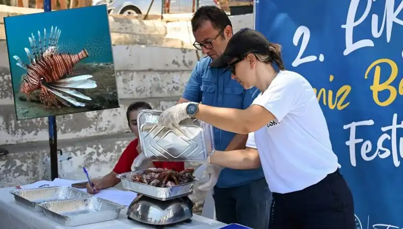 Antalya'da İstilacı Aslan Balığı Avlama Yarışması: Denizlerdeki Tehditle Mücadele