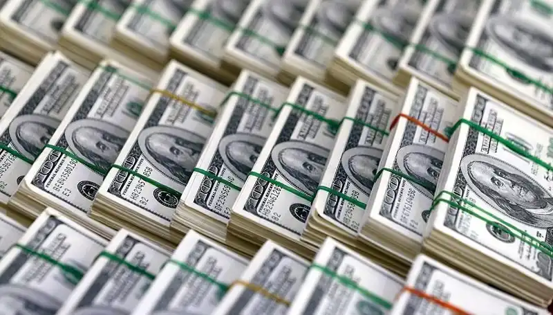 Doların Hızla Yükselmesine Dikkat! Ekonomistler Uyarıyor