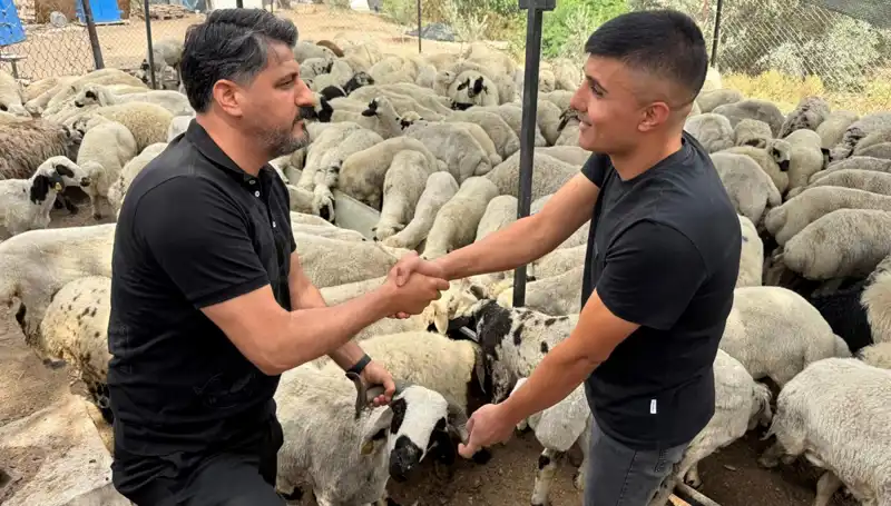 Kurbanlık Alırken Dikkat! Tuz ve Sumak İle Şişkin Görüntü Yanılgısı