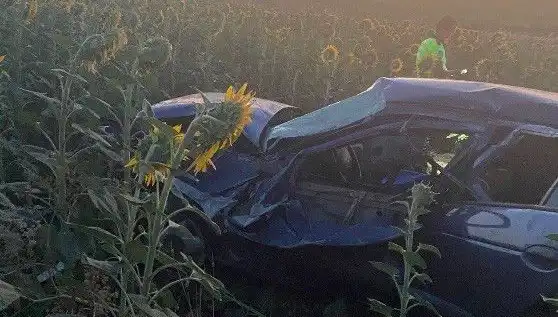 Otomobil Ayçiçeği Tarlasına Devrildi: Sıçrayan Yaralar ve Yaralılar