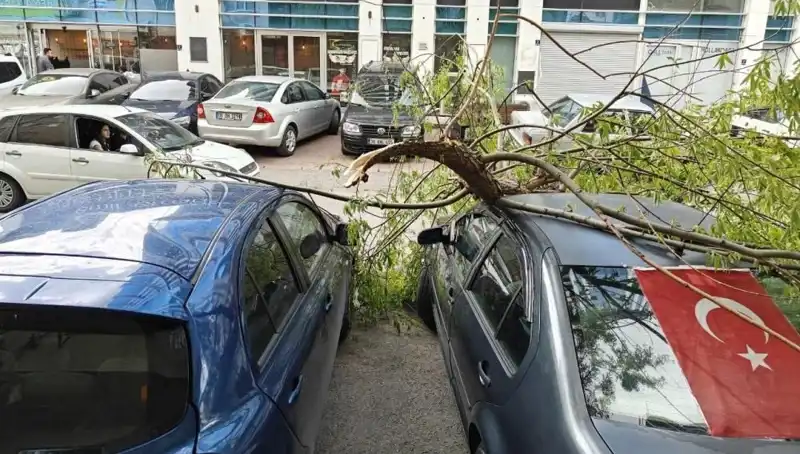 Kayseri’de Dalları Kıran Fırtına Hayatı Olumsuz Etkiledi