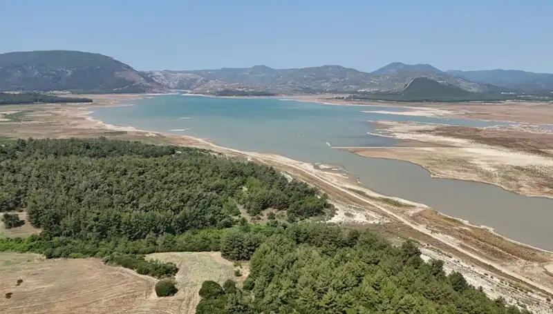 İzmir'de Tehlike Çanları: Geçen Yıla Göre Yüzde 50'lik Dramatik Düşüş!