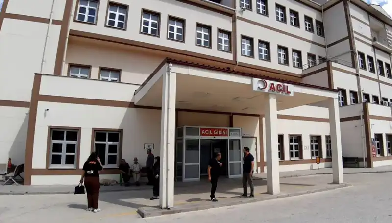 Bolu'da Tartışmalı Ayı Avı Kararı: Yerel Yönetimden Açıklamalar Geldi
