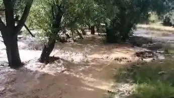 Mersin'de Sağanak Yağışlar Sel Felaketine Yol Açtı: Detaylar Burada