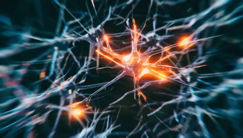 Alzheimer Vakalarındaki Artışın Sebepleri ve Gelecekte Neler Olacak?