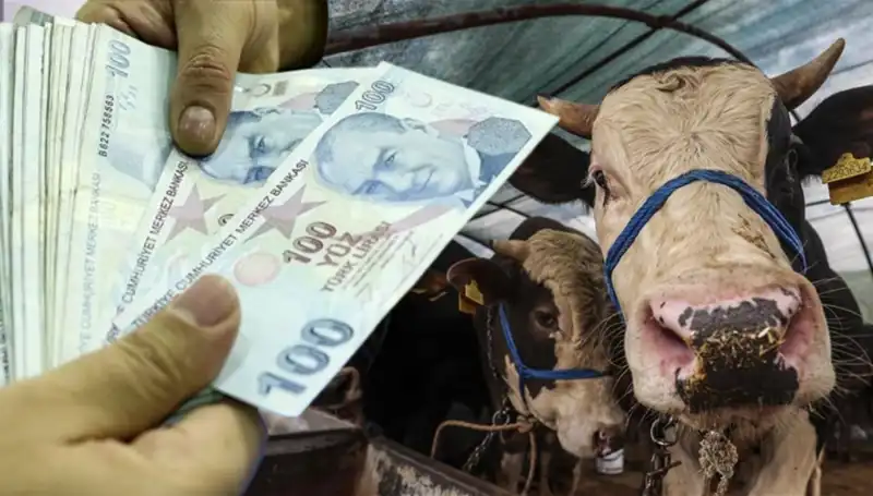 Kurban Bayramı Öncesi Maaşlar Ne Zaman Yatacak? Emeklilere Mükafat Haberi!