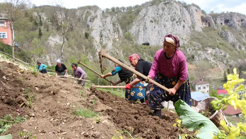 Zorlu Mesai: Sepetli ve Kazmalı İşçiler Zorlu Koşullarda Çalışıyor