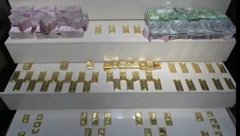 Van Havalimanı'nda Kaçak Altın ve Nakit Para Baskını!