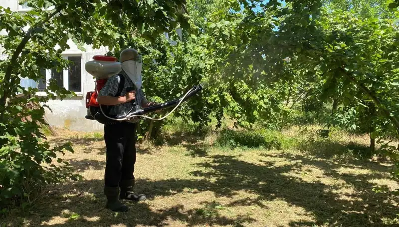 Çiftçilerin Umudu: Kükürt ve Samuray Arısı İle Tarımsal Mücadelede Yeni Dönem
