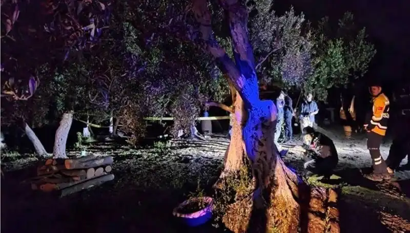 Çiftlikteki Baltalı Vahşet: Bir Gözaltı ve Sarsıcı Detaylar