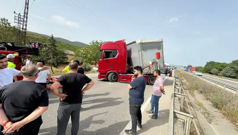 Seyir Halindeyken Arı Sokması, Trafikte Kaos Yarattı