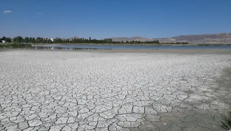 Ulaş Gölü'ndeki Korkutan Çatlaklar: Doğa Alarm Verdi