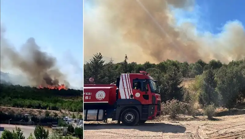 Gebze Ormanında Çıkan Yangın, Etrafı Korku Sarmış Durumda!