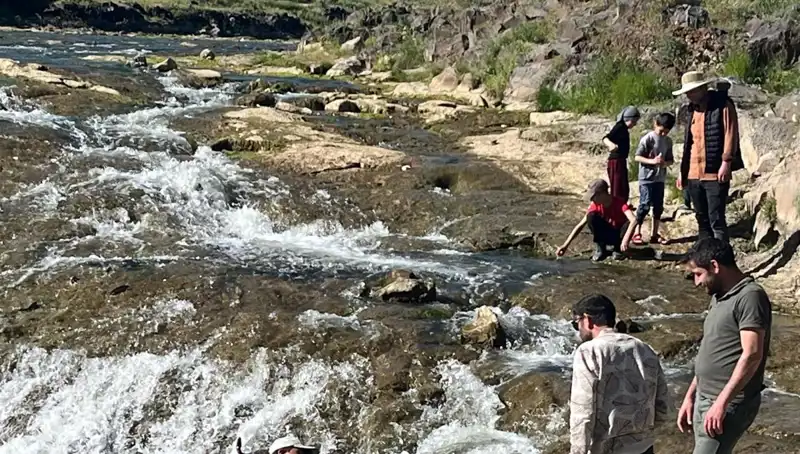 İnci Kefali Göçü: Doğanın Mucizesiyle Gelen Turist Akını