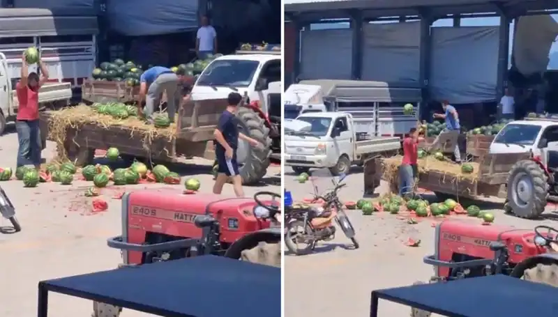 Karpuzları Yere Atıp Parçalayan Çiftçilere Ceza Verildi!
