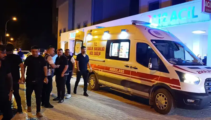 Kardeş Kavgasında Gergin Anlar: Sonuç Felaketle Bitti