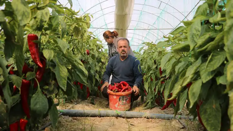 Fiyatı Fırlayan Ürünler: 50 TL'den 80 TL'ye Çıkan Ürünlerin Ardındaki Sebep