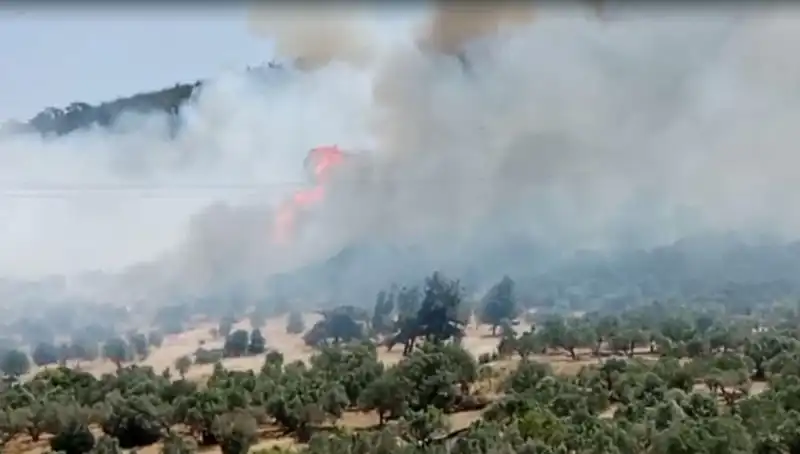 İzmir'de Çıkan Orman Yangınına Hızla Müdahale Ediliyor