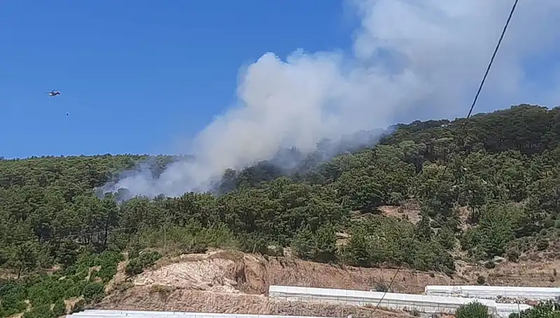 Kumluca'da Korkutan Orman Yangını: Ekipler Hızla Müdahale Ediyor
