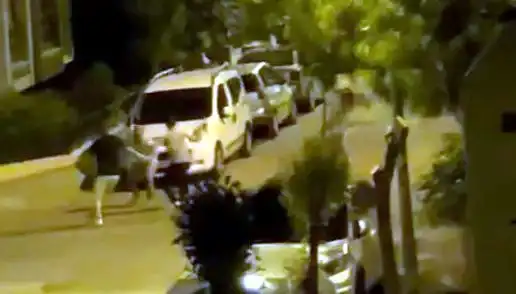 Avcılar'da 3 Kişilik Çetenin Saldırısına Müdahale Eden Kahramanlar