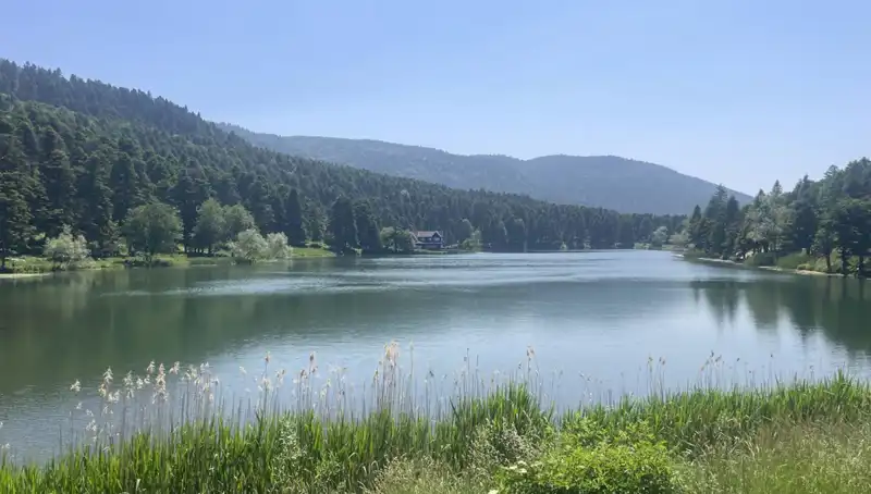 Bolu'nun Milli Parklarına Ziyaretçi Akını: Doğanın Tadını Çıkarmak İsteyenler Buraya!