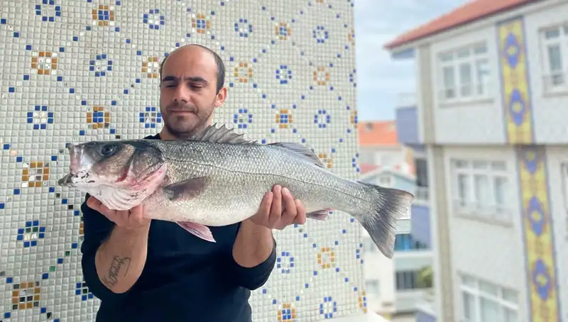 7,5 Kiloluk Dev Levrek, Balıkçıların Heyecanını Zirveye Taşıdı!