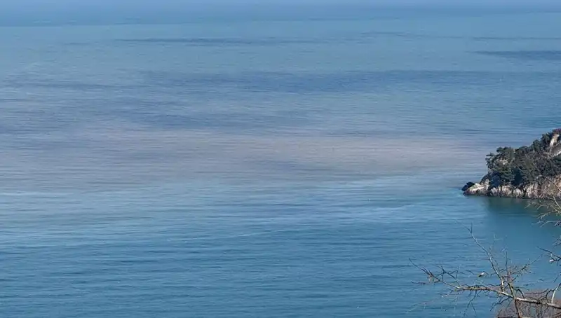 Bartın Irmağı'ndaki Çamurlu Su Deniz Rengini Değiştirdi: Nedenleri ve Sonuçları
