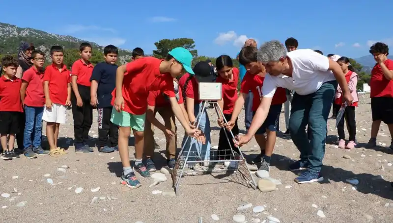 Kemer'de Caretta Caretta Koruma Yasakları Başladı: Ne Oluyor?