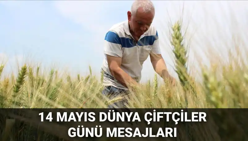 Tarımın Kahramanları: 14 Mayıs Dünya Çiftçiler Günü'nde Anlamlı Mesajlar