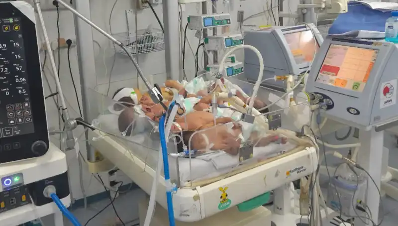 Gazzeli Doktorlar Çaresizlik İçinde: Kavuzlerde Birden Fazla Bebekle Mücadele