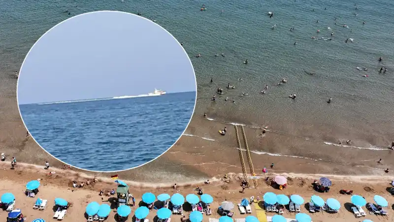 Plajda Köpek Balığı Korkusu: Korkulan Gerçek Çok Başka