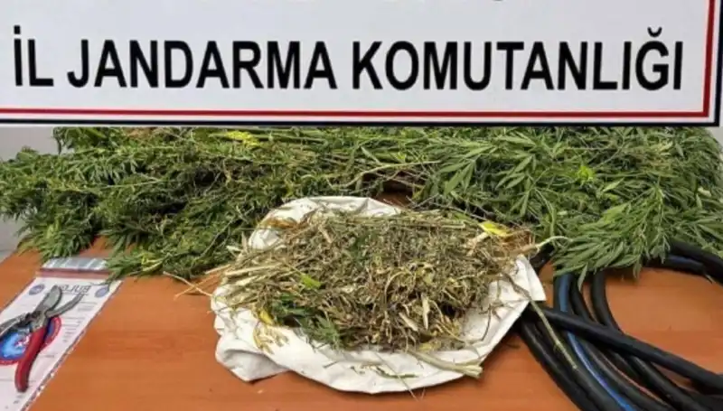 Niğde'de Uyuşturucu Operasyonu: Büyük Tuzağın Detayları Ortaya Çıktı