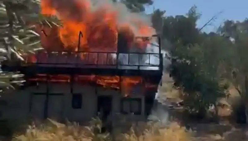 Bodrum'da Yangın Alarmı: Hızla Yayılıp Ekipleri Tetikledi!