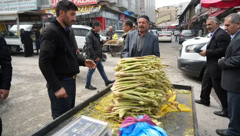 Dağlık Bölgeden Gelen Şeker, Kanser ve Mide Hastalıklarına Şifa Oluyor