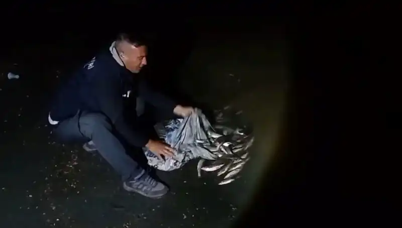 İnci Kefali Avında Rekor: Bir Ton Balık Yakaladı!