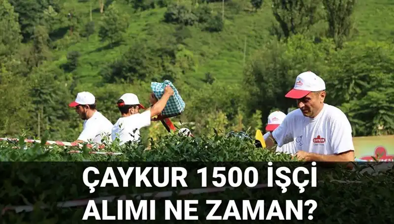Çaykur İşçi Alımı Başvuru Tarihleri Açıklandı: Fırsatları Kaçırmayın!