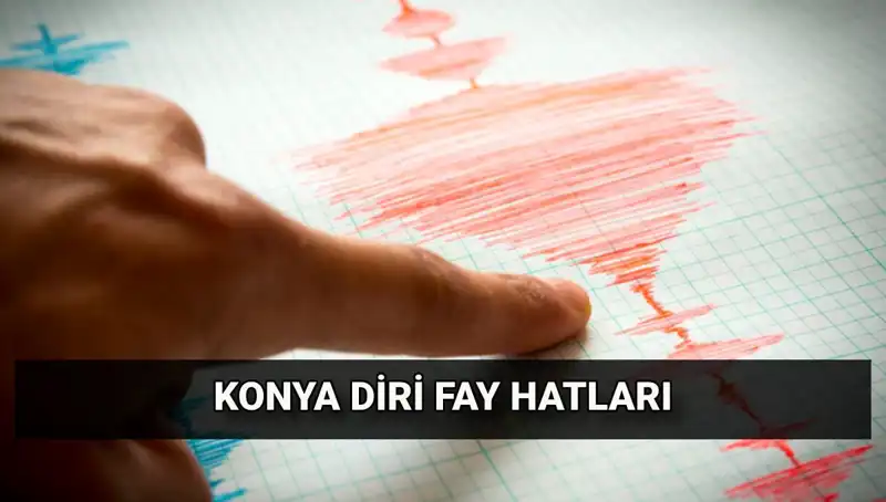 Konya'da Deprem Riski: Fay Hattı Varlığı ve Güvenlik Önlemleri