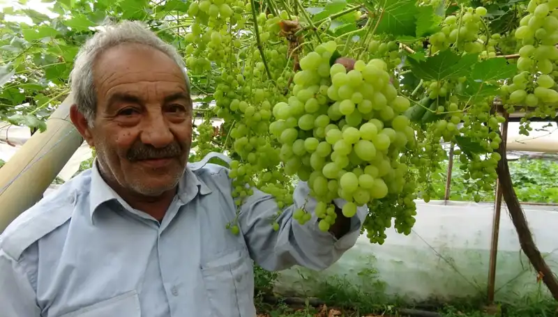 Zirai Don Etkisiyle Meyve Fiyatlarında Şok Artış: İlk Ürünler 250 TL'yi Geçti
