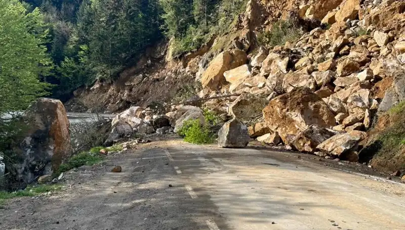 Giresun'da Şiddetli Yağışlar Heyelana Neden Oldu: Yol Ulaşımı Kesildi