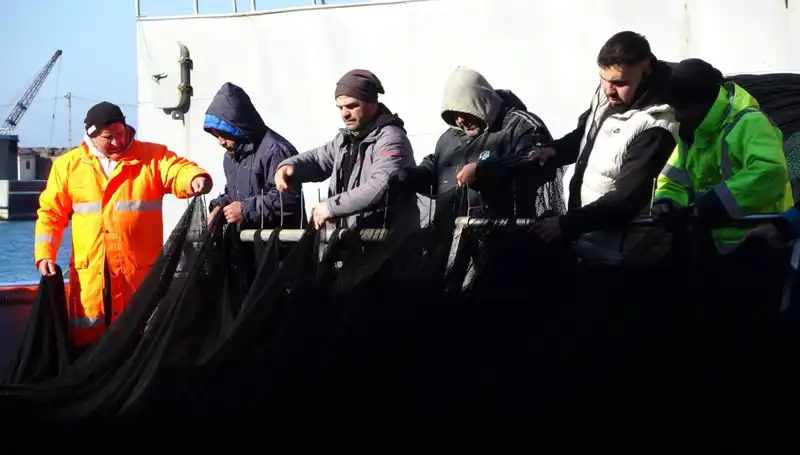 Denizlerde Hamsi Avı Sonuçsuz Kaldı, Balıkçılar Erken İkaza Geçti